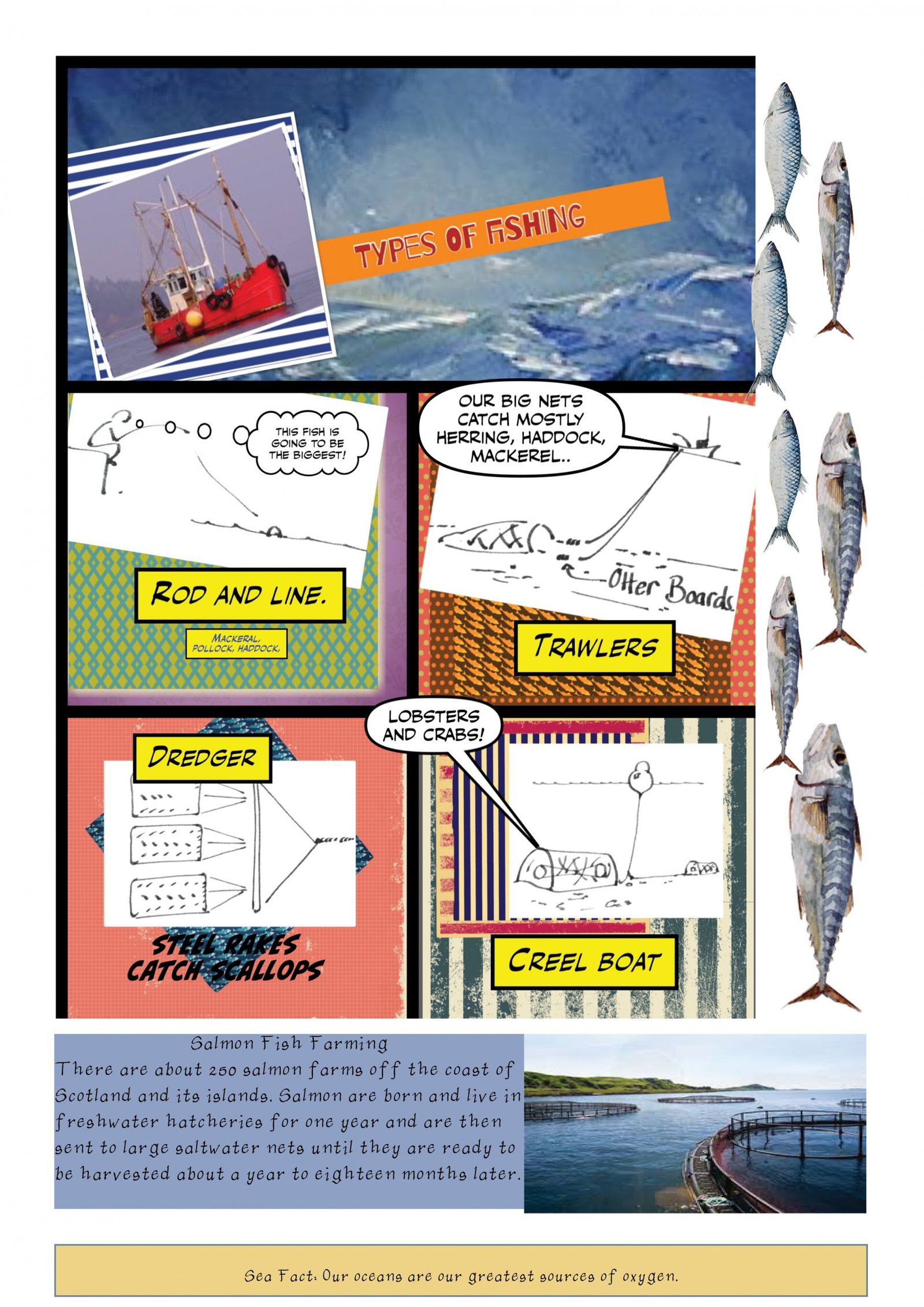 Types of Fishing